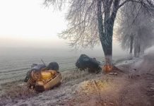 A car was torn apart by a collision with a tree in the Vetkovsky district – Auto Online A car was torn apart by a collision with a tree in the Vetkovsky district – Auto Online