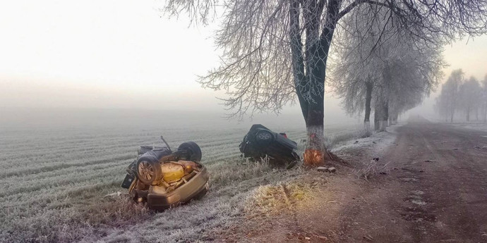 6b28b8b8b4c47ef80e15281ab382f074.jpg A car was torn apart by a collision with a tree in the Vetkovsky district – Auto Online