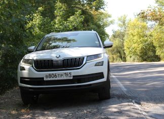 ŠKODA KODIAQ 2.0 TDI: Your Pet Bear