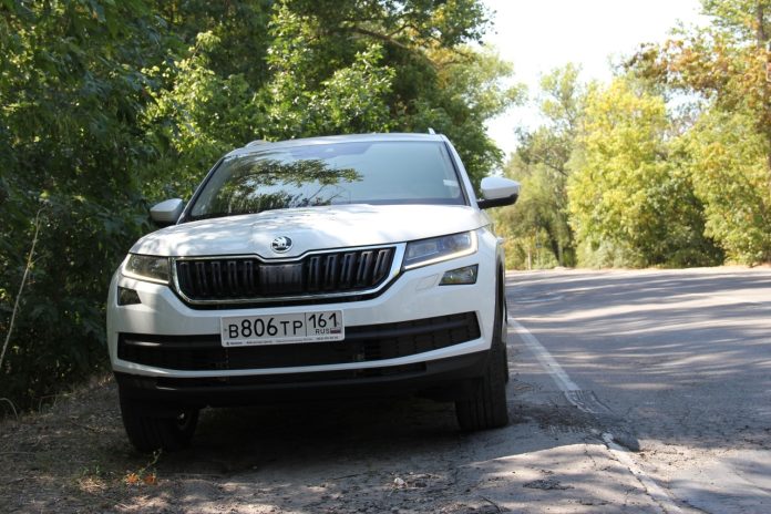 ŠKODA KODIAQ 2.0 TDI: Your Pet Bear