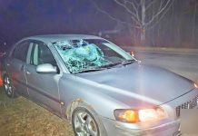 A Volvo driver struck a pedestrian: the victim’s identity was established using fingerprints – Auto Online A Volvo driver struck a pedestrian: the victim’s identity was established using fingerprints – Auto Online