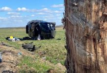 A 23-year-old BMW driver veered off the road and crashed into a tree. The car ended up on its side – Auto Online A 23-year-old BMW driver veered off the road and crashed into a tree. The car ended up on its side – Auto Online