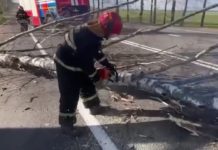 Today’s wind damaged 8 cars – Auto Online Today’s wind damaged 8 cars – Auto Online