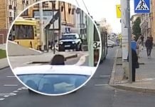 A girl leaned out of a BMW’s sunroof while it was moving. Traffic police responded – Auto Online A girl leaned out of a BMW’s sunroof while it was moving. Traffic police responded – Auto Online