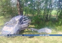Fatal accident in Minsk region: a passenger died after her car veered off the road – Auto Online Fatal accident in Minsk region: a passenger died after her car veered off the road – Auto Online