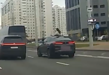 A BMW passenger leaned out of the sunroof while driving and filmed. The driver was punished – Auto Online A BMW passenger leaned out of the sunroof while driving and filmed. The driver was punished – Auto Online